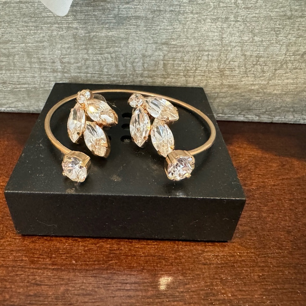 Gorgeous Bangle and earring set